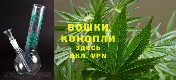 сатива Краснотурьинск