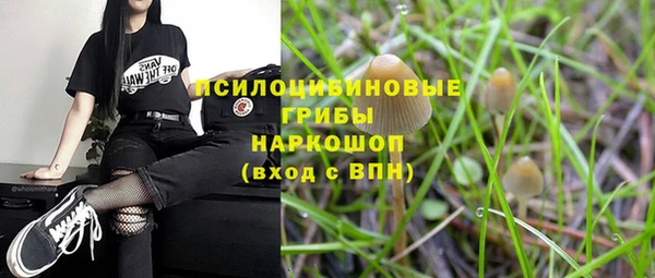 сатива Краснотурьинск