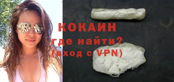 стаф Корсаков